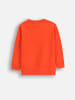 Coccodrillo Sweatshirt in Orange