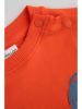 Coccodrillo Sweatshirt in Orange