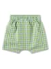 Sanetta Kidswear Shorts in Grün/ Hellblau