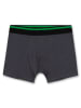 Sanetta Boxershort grijs