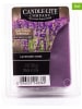 CANDLE-LITE 2er-Set: Duftwachs "Lavender Moss" in Lila - 2x 56 g