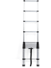 IDOMYA Essentials Telescopische ladder zilverkleurig - (L)320 cm
