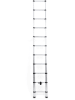 IDOMYA Essentials Telescopische ladder zilverkleurig - (L)320 cm