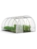 Inkazen Gewächshaus in Transparent - (B)300 x (H)200 x (T)400 cm