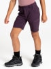 Dare 2b Funktionsshorts "Reprise II" in Lila