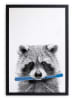 Folkifreckles Gerahmter Kunstdruck "Racoon" - (B)30 x (H)40 cm