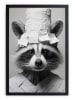 Folkifreckles Ingelijste kunstdruk "Racoon Paper" - (B)30 x (H)40 cm