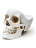 SuckUK Dekoschale ''Skull Tidy'' in Weiß - (B)12,5 x (H)21,5 x (T)16 cm