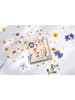 folia PAPER Blumenpresse in Natur/ Bunt