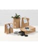 folia PAPER Papieren zakken naturel - 15 stuks