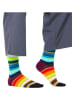 Happy Socks Sokken meerkleurig
