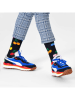 Happy Socks Sokken zwart/meerkleurig