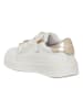 Patrizia Pepe Leder-Sneakers in Weiß/ Gold