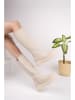 trendyol Stiefel in Beige
