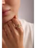 Heliophilia Vergold. Ring