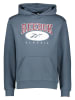 Reebok Hoodie ''CL AE'' i n blauwgrijs