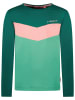 Tygo & Vito Longsleeve "Tygo&Vito" groen