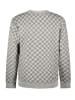 Tygo & Vito Sweatshirt "Dev" grijs