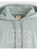 Levi's Hoodie in Hellblau