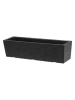 4Living Thermo-Blumenkasten in Schwarz - (B)50 x (H)14 x (T)13 cm 