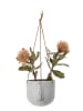 Bloomingville Bloempot "Ileana" grijs - (H)55 cm