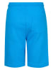 Petrol Industries Shorts in Blau