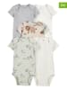 carter's 5-delige set: rompers meerkleurig
