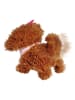 Simba Pies "ChiChi Love Tea Cup Poodle Puppy" - 3+