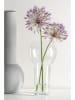 LEONARDO Vase "Vernazza" in Transparent - (H)18,5 x Ø 22,3 cm