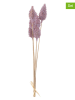 LEONARDO 2-delige set: kunstplanten "Sea Holly" paars - (L)65 cm