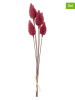 LEONARDO 2-delige set: kunstplanten "Sea Holly" rood - (L)65 cm