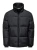 ONLY & SONS Winterjas "David" zwart