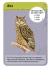moses. Kartenspiel "50 Tiere der Nacht" - ab 6 Jahren