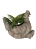 Clayre&Eef Blumentopf ''Huhn'' in Grau - (B)46 x (H)38 x (T)30 cm