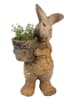Clayre&Eef Blumentopf in Hellbraun - (B)23 x (H)41 x (T)18 cm