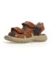 Naturino Leder-Sandalen in Braun