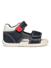 Geox Sandalen "Tapuz" donkerblauw