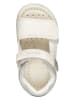 Geox Sandalen "Tapuz" crème/zilverkleurig