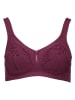 SUSA Bügelloser BH in Aubergine