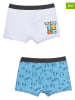 Pokémon 2er-Set: Boxershorts "Pokemon" in Hellgrau/ Hellblau