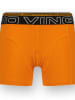Vingino 3-delige set: boxershorts oranje/zwart
