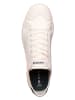 Lacoste Sneakers crème