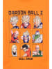 Dragon Ball Longsleeve "Dragon Ball" in Orange