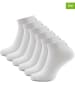 McGregor 6er-Set: Socken in Weiß