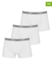 McGregor 3er-Set: Boxershorts in Weiß