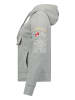Canadian Peak Hoodie "Gyrelle" in Grau