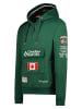 Canadian Peak Bluza w kolorze zielonym