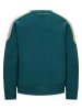 Retour Sweatshirt "Hound" in Grün