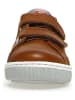 Naturino Leren sneakers "Caleb" lichtbruin