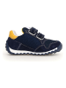 Naturino Leren sneakers "Sammy 2" paars